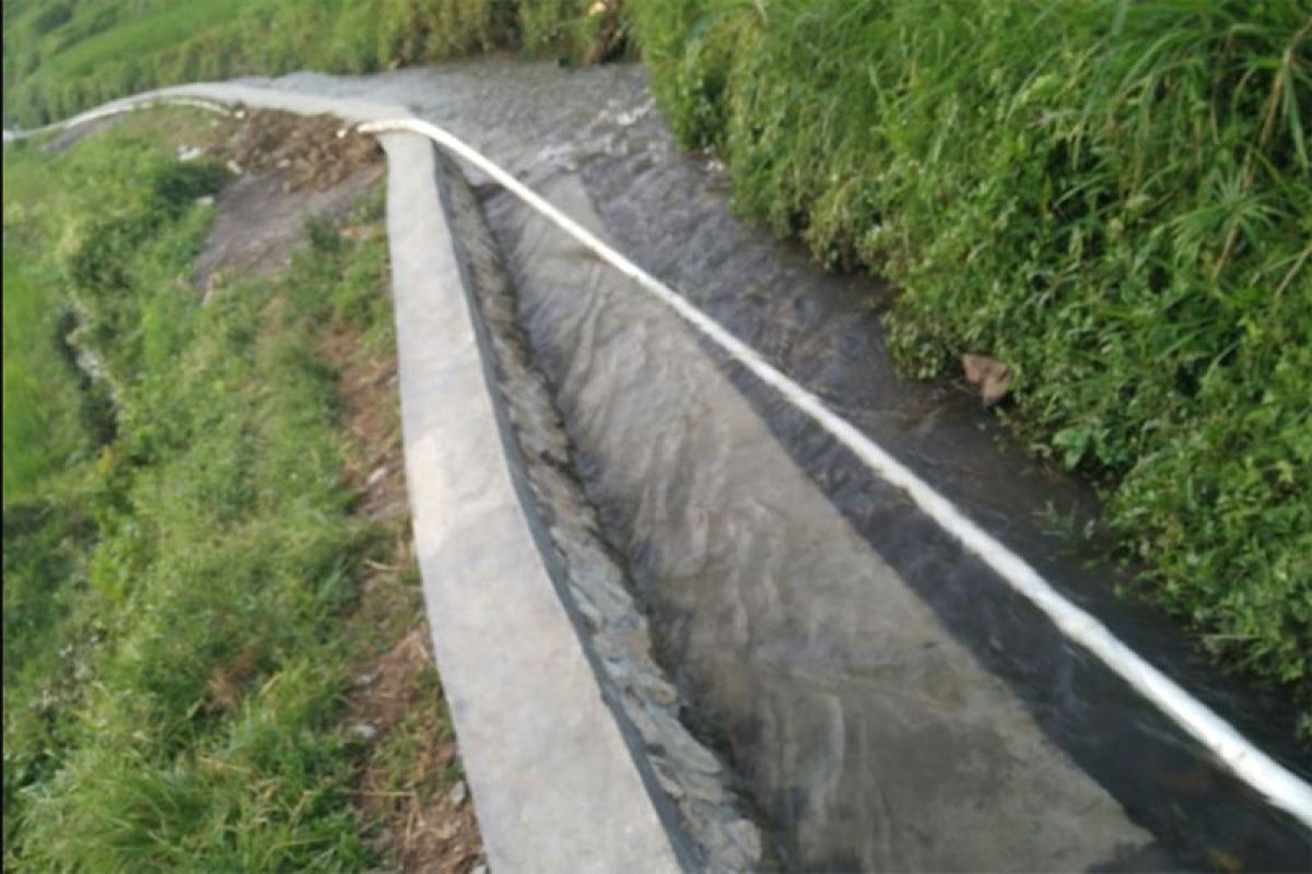 Kementan pantau irigasi kejar produksi 35 jt ton beras